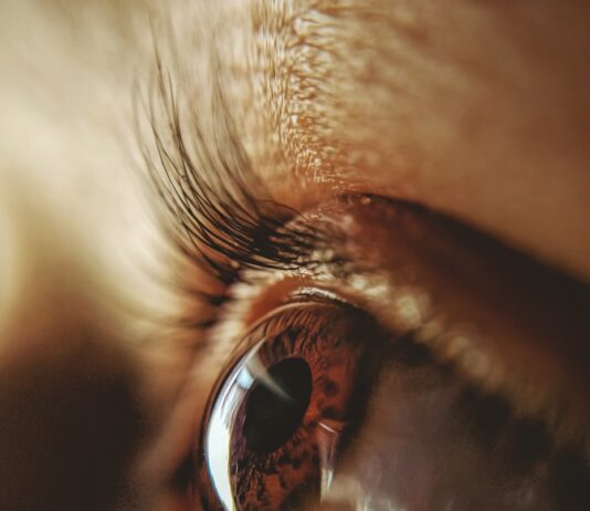“눈이 자주 침침하고 피곤해요”…초여름 안구 피로, 놓치기 쉬운 신호들 persons eye in close up photography